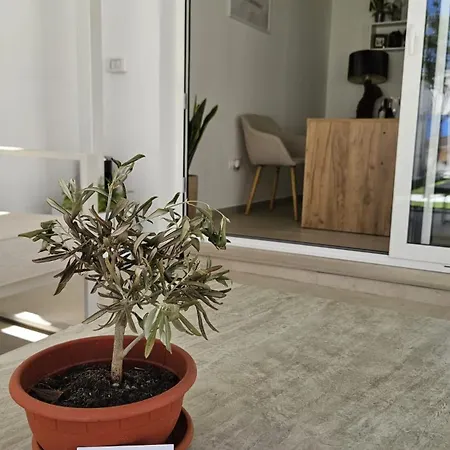 Casa Daquigno - Boutique & Garden Ольбія